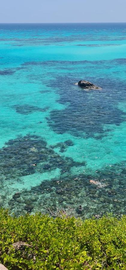Posada Ocean Colors Rocky Point Luaran gambar